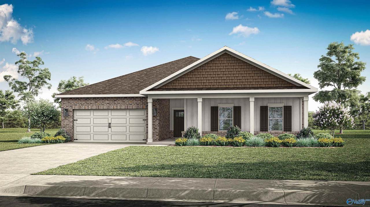 287 Crane Hollow Lane - Photo 1