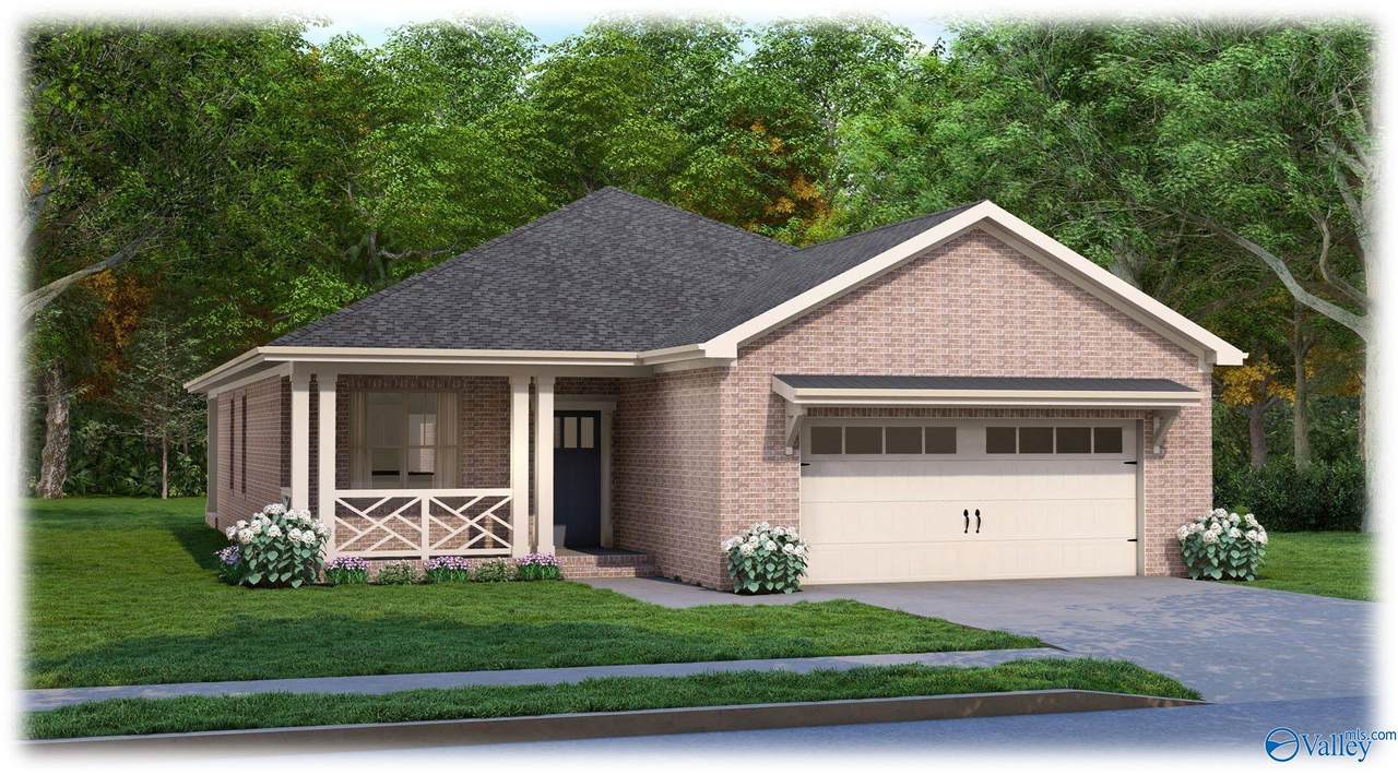105 Paul Macon Drive - Photo 1
