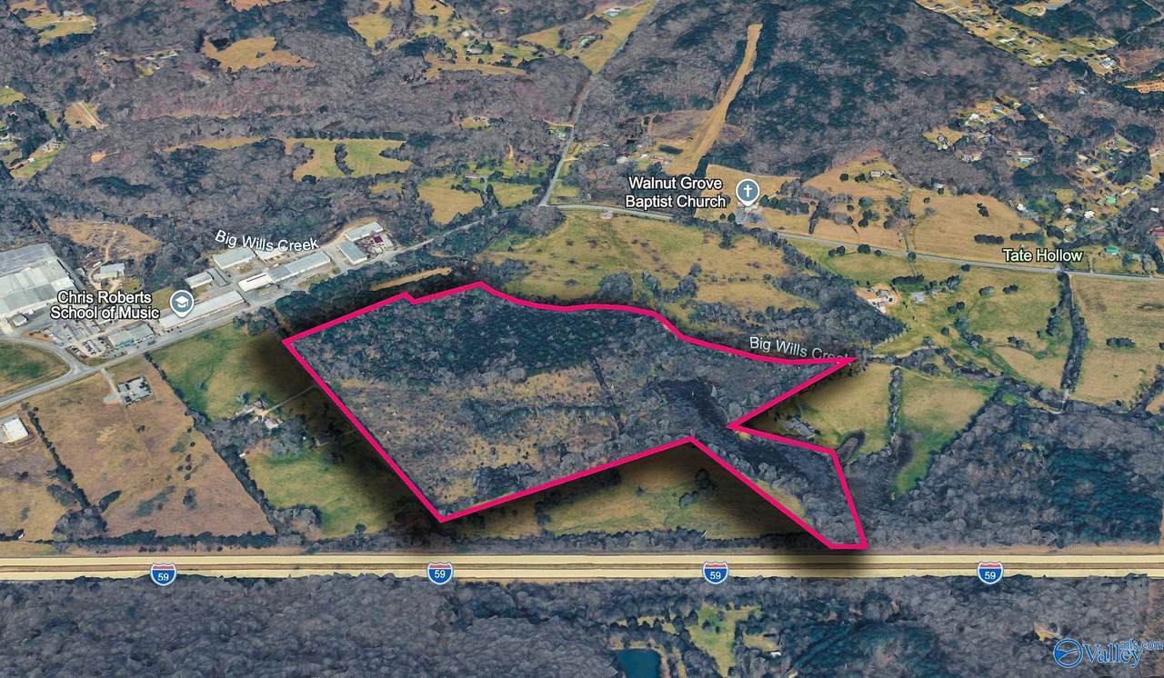 65 ACRES Harris Drive - Photo 1