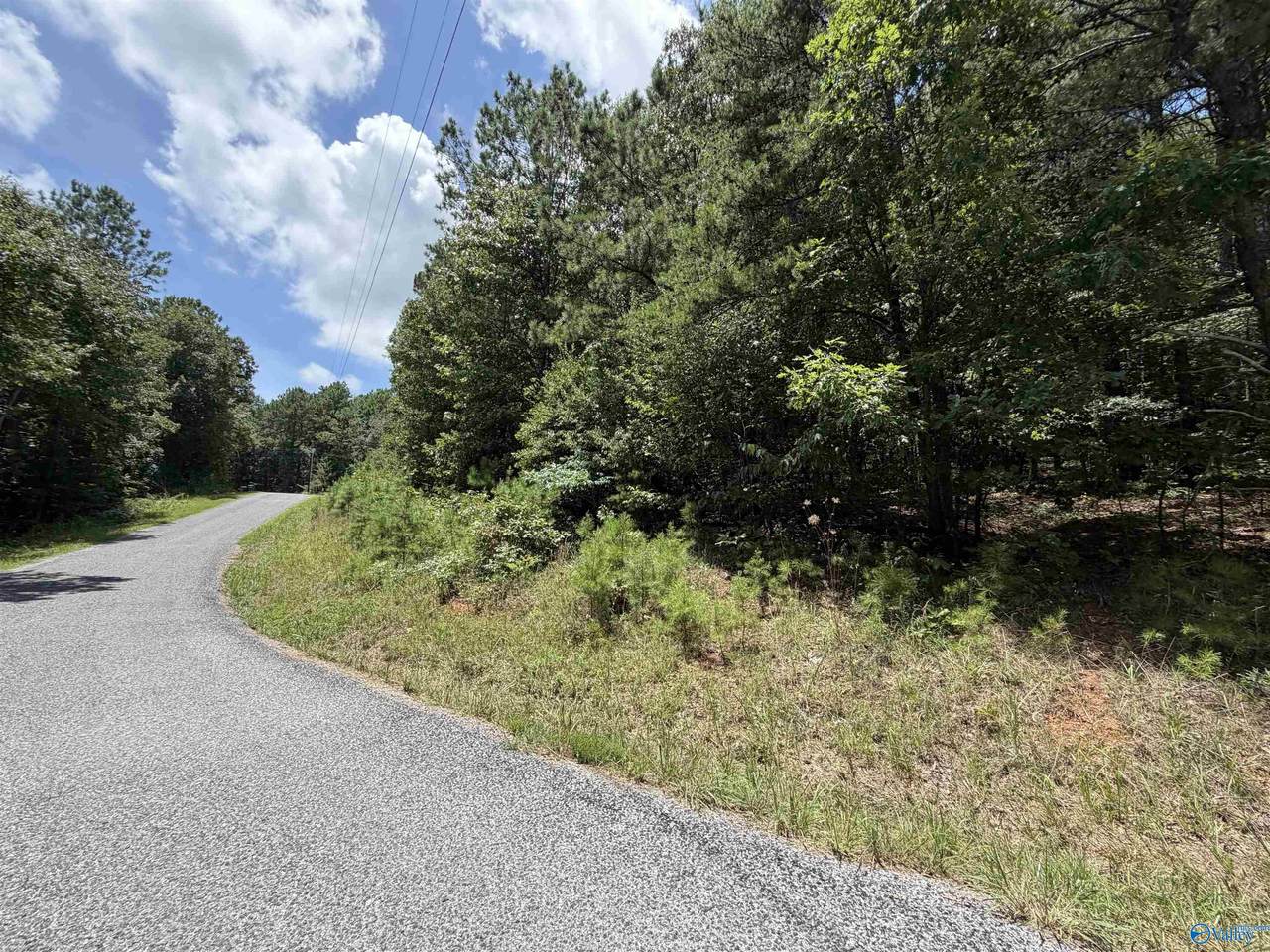 LOT 4 County Road 592 - Photo 1