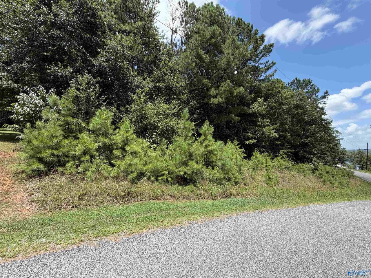 LOT 5 County Road 592 - Photo 1
