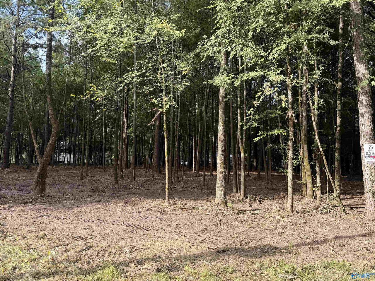 Lot 19 County Road 1011 - Photo 1
