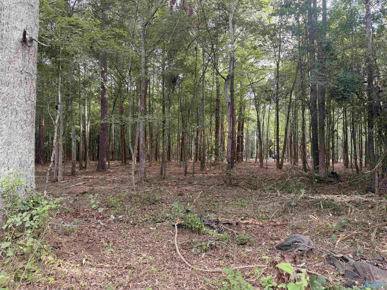 Lot 35 Shorts Inlet - Photo 1