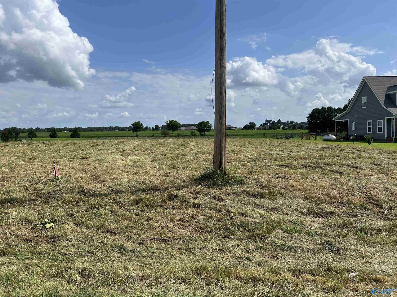 10074 Snake Road - Photo 1