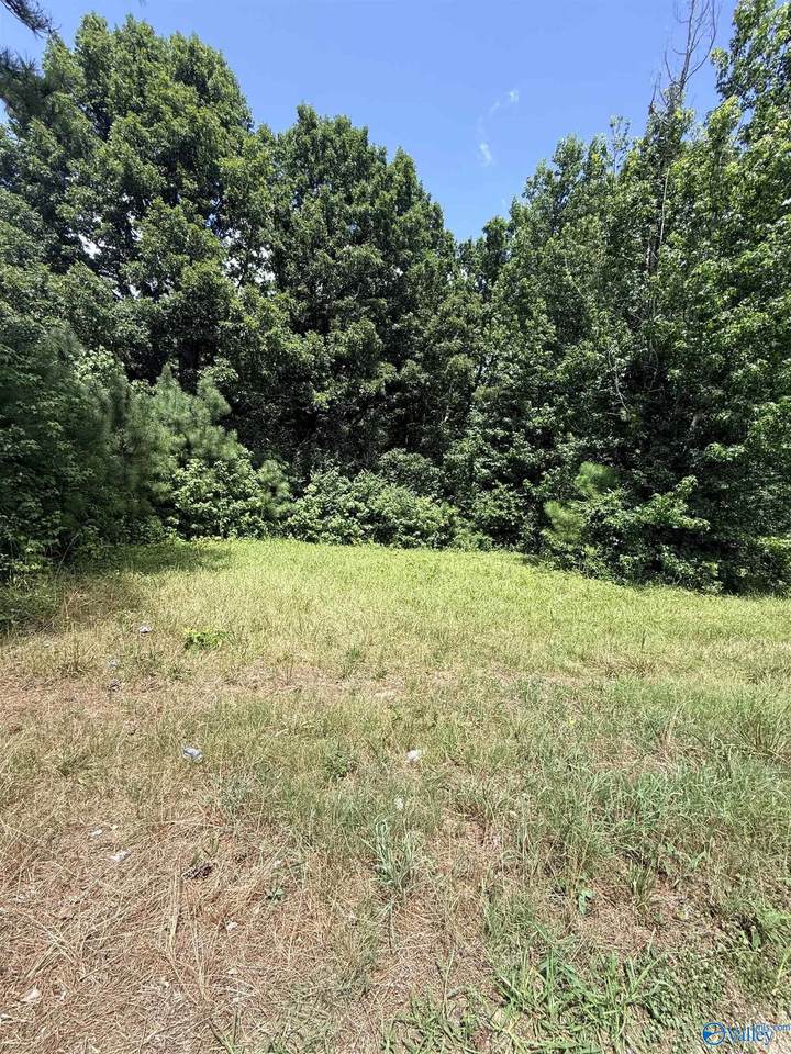 1 A County Road 4 - Photo 1
