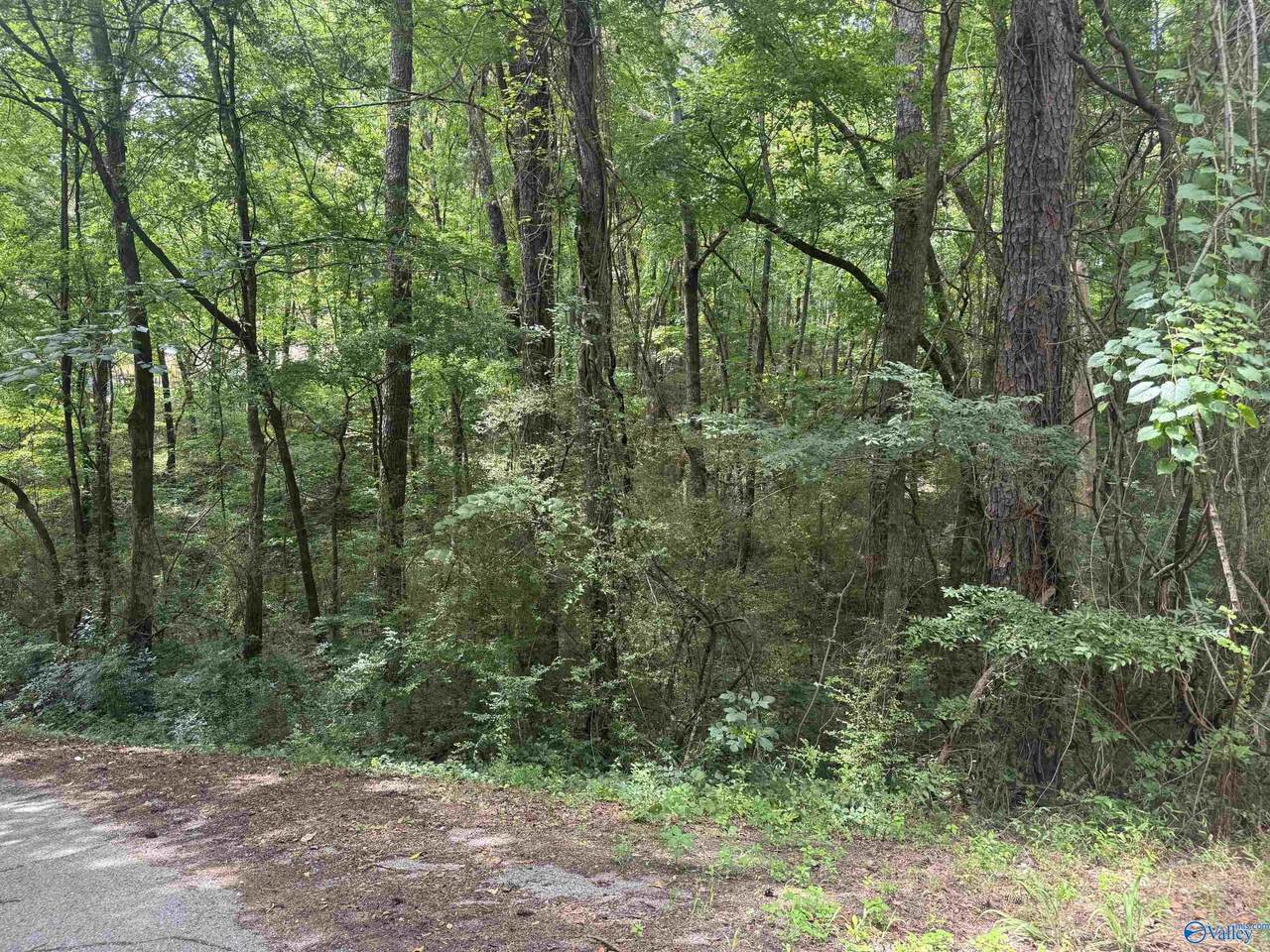 Lot 11 Davis Drive - Photo 1