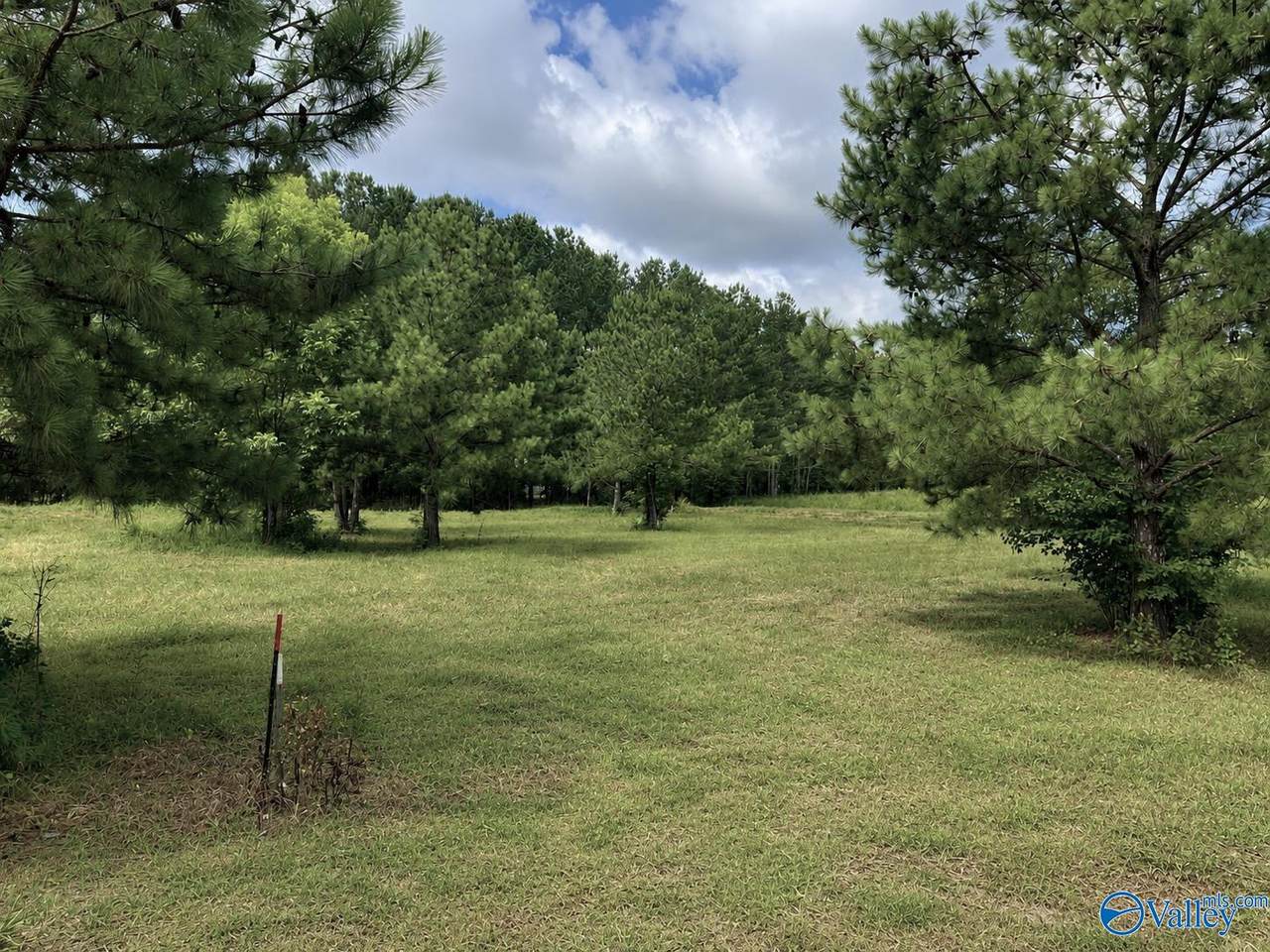 Lot 5 Rachel Lane - Photo 1