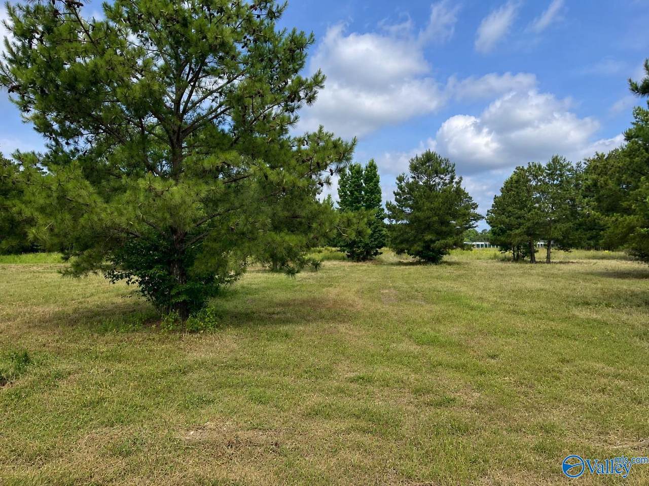 Lot 4 Rachel Lane - Photo 1