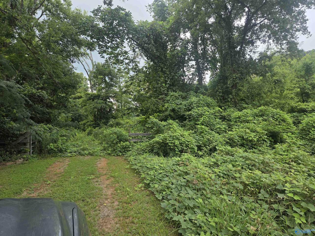 26 acres Gum Springs Road - Photo 1