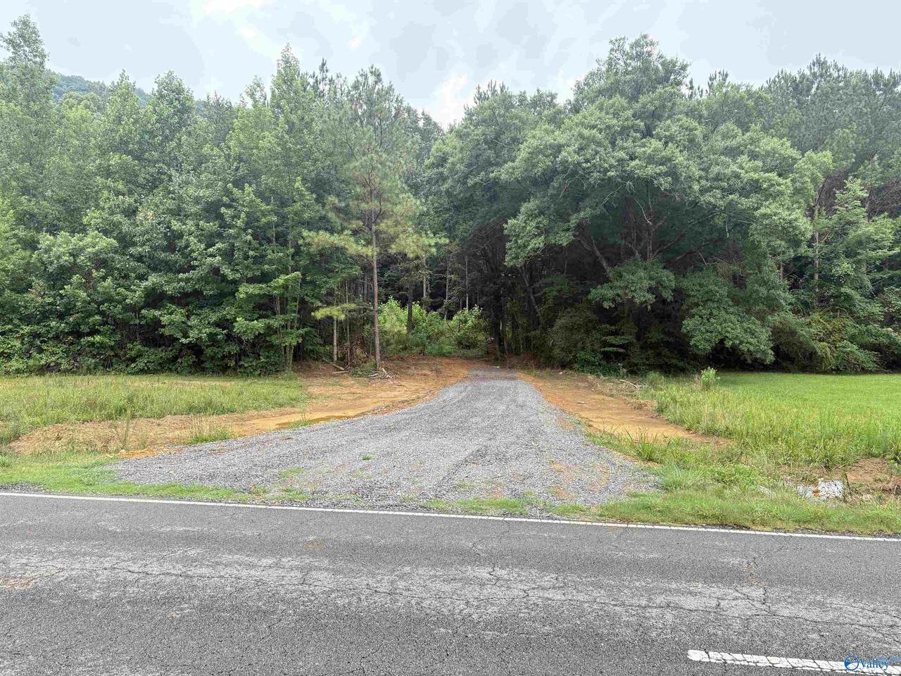 16679 Al Highway 35 - Photo 1