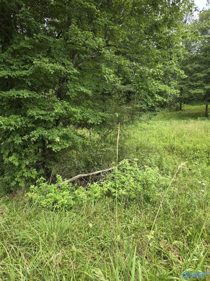 1 Acre Clairmont Springs Road - Photo 1