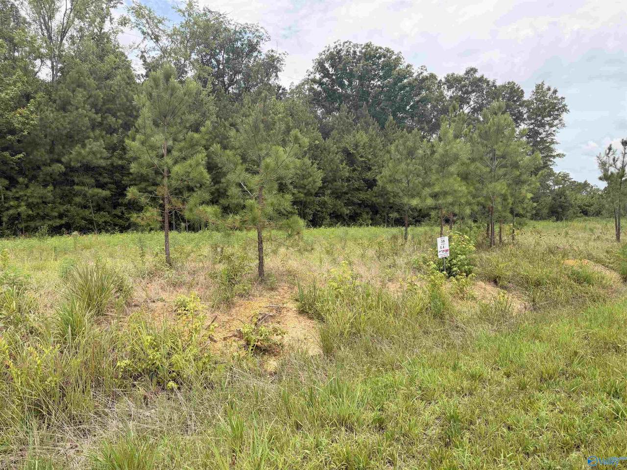 Lot 58 County Road 32 - Photo 1