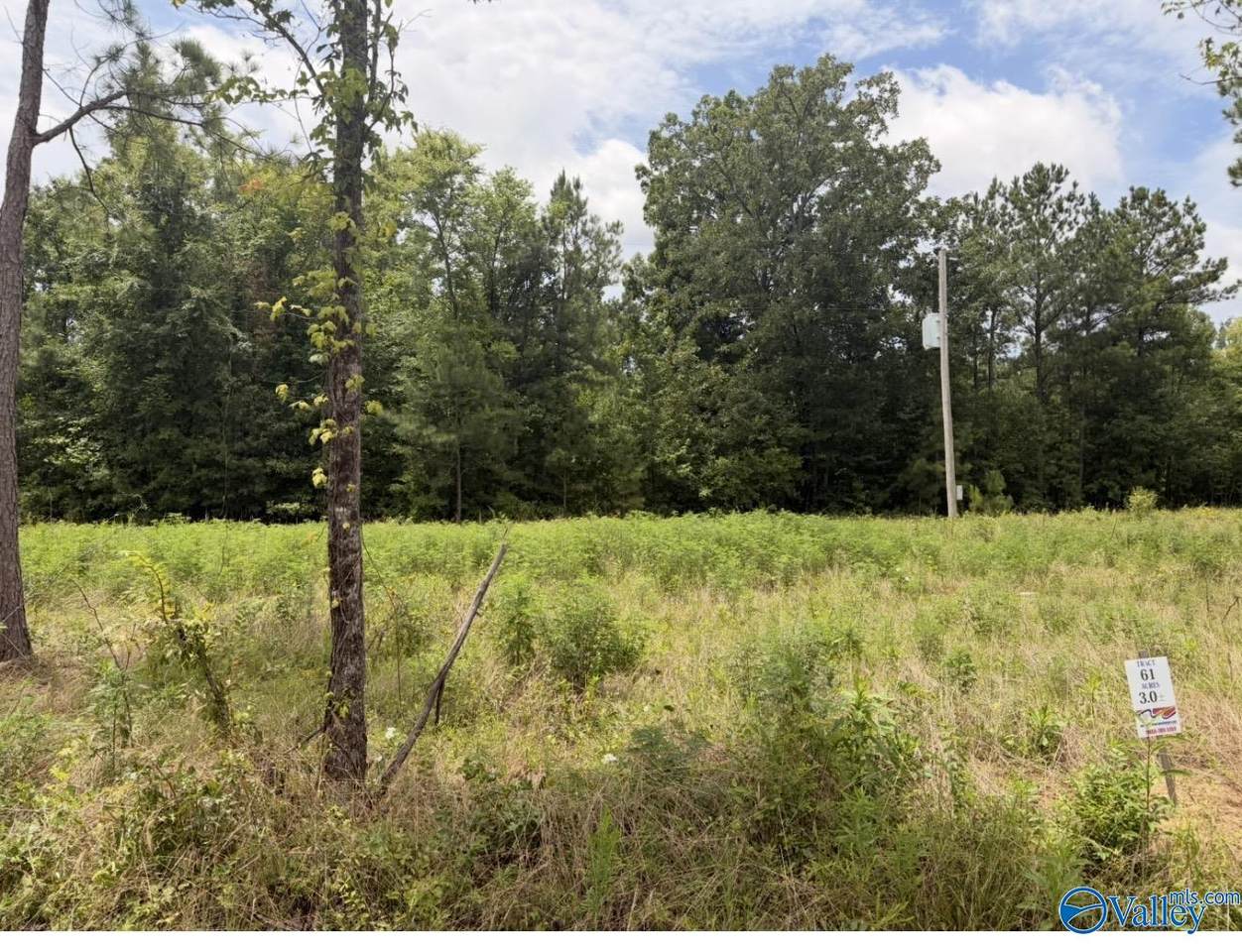 Lot 61 County Road 32 - Photo 1