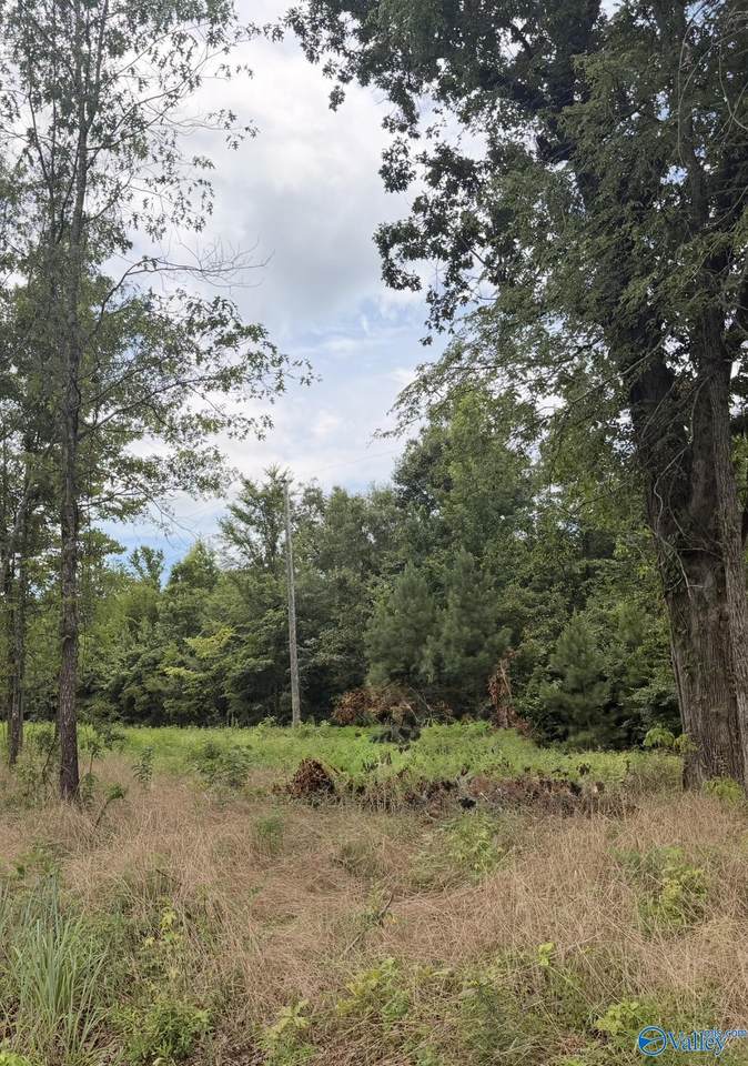 Lot 59 County Road 32 - Photo 1
