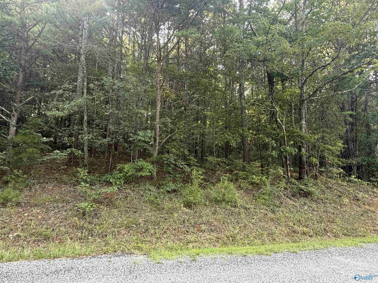 Lot 7 Yellow Creek Drive - Photo 1