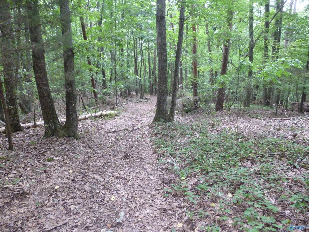 500 20th Street - Photo 1