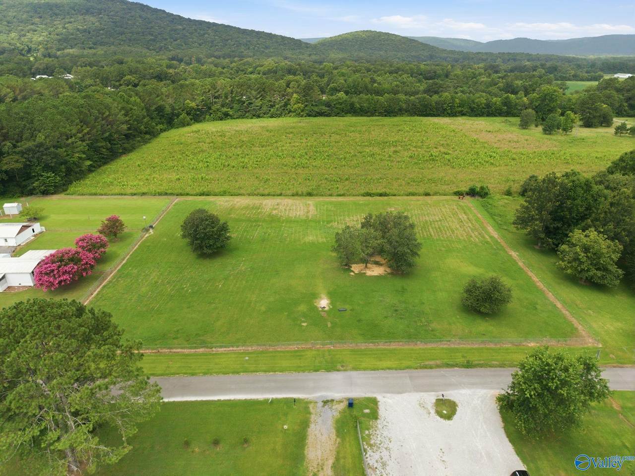 28 acres Curt Road - Photo 1