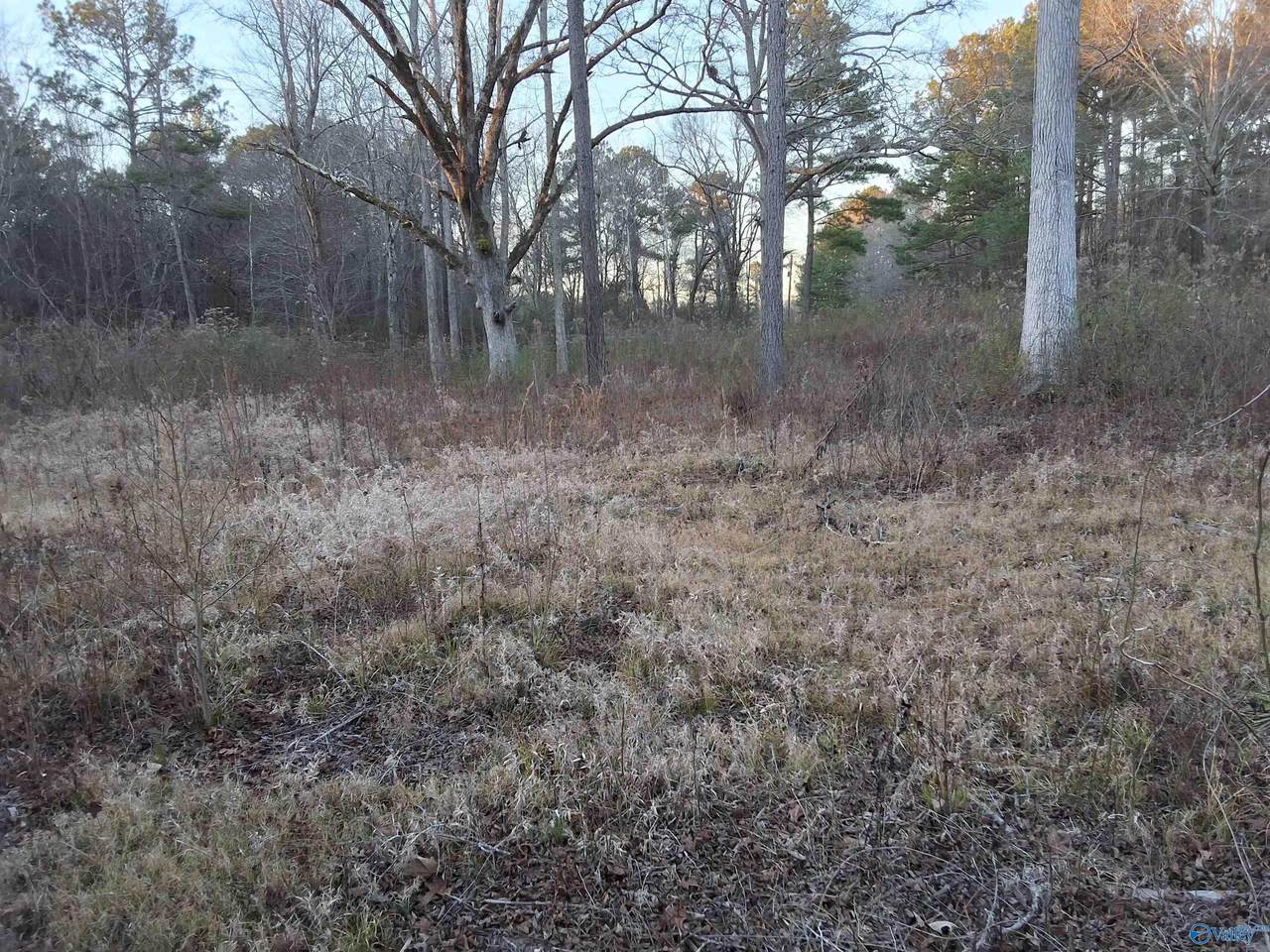 32 acres Euclid Road - Photo 1