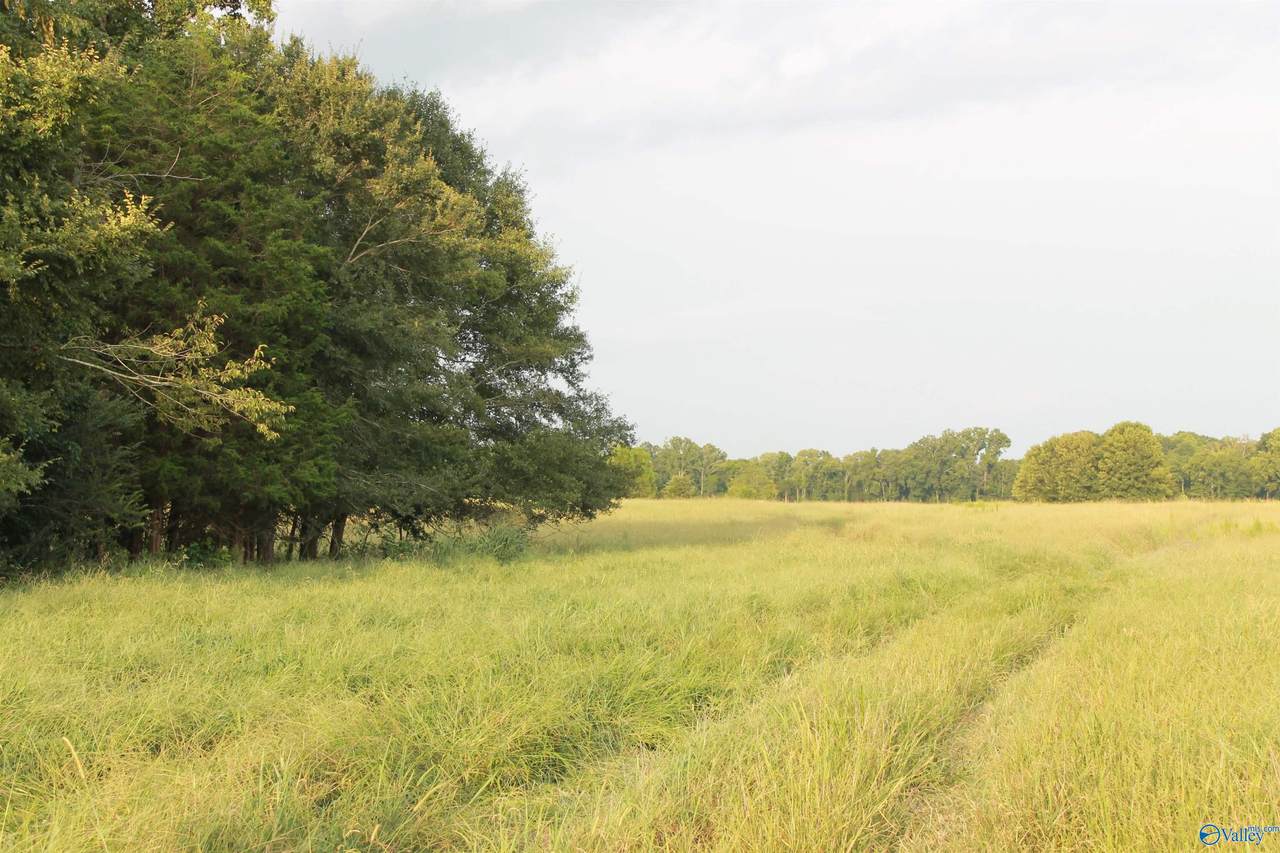 40.5 South Danville Road - Photo 1