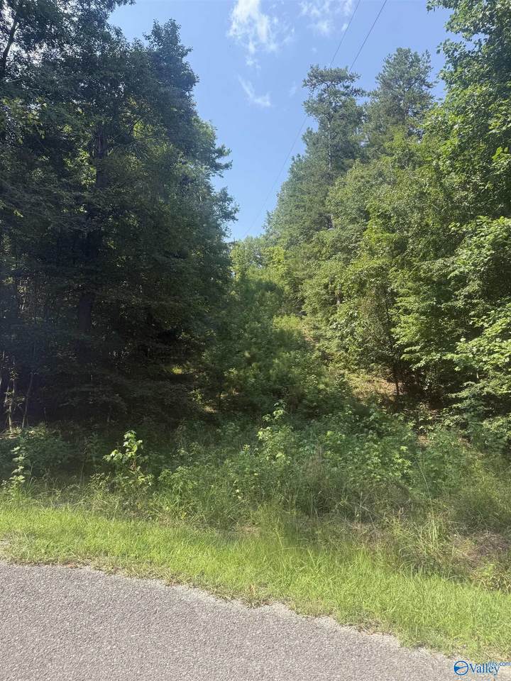 Pin 4158 County Road 136 - Photo 1