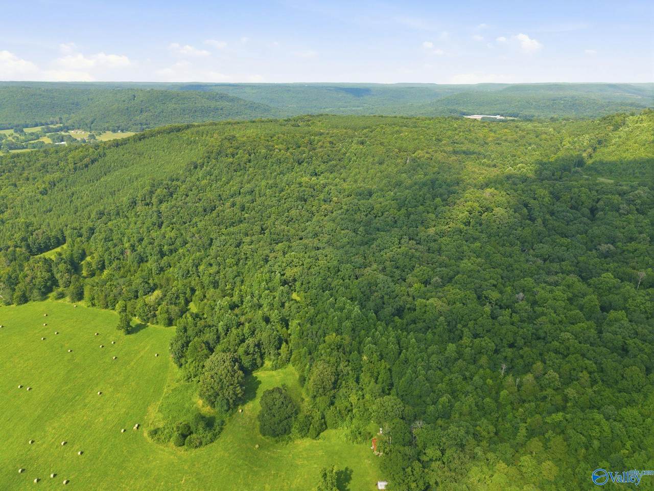 137 Acres Ausby Light Road - Photo 1