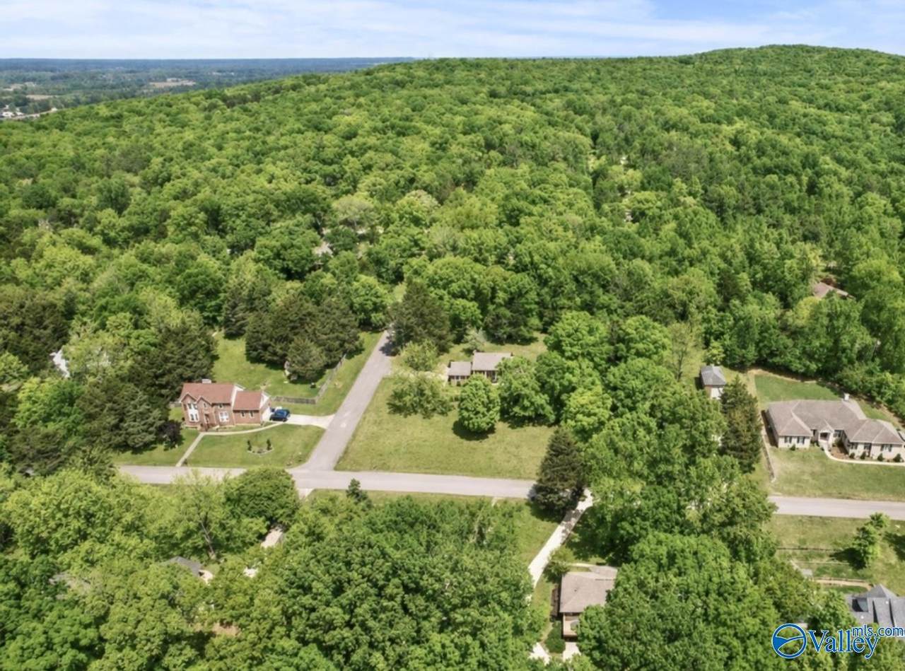 120 Deer Run Lane - Photo 1