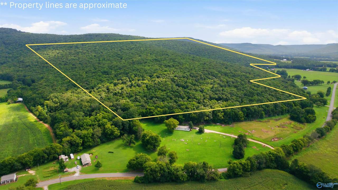 264 Acres Alabama Highway 65 - Photo 1