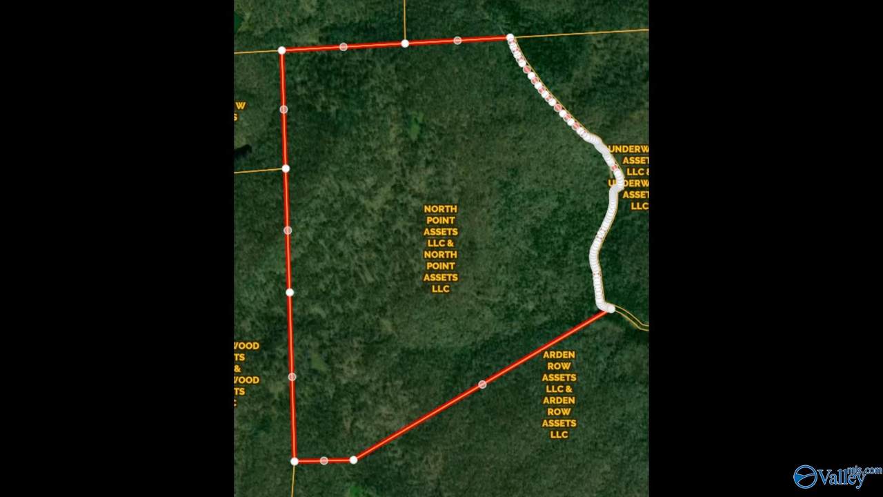 296 Acres County Road 106 - Photo 1