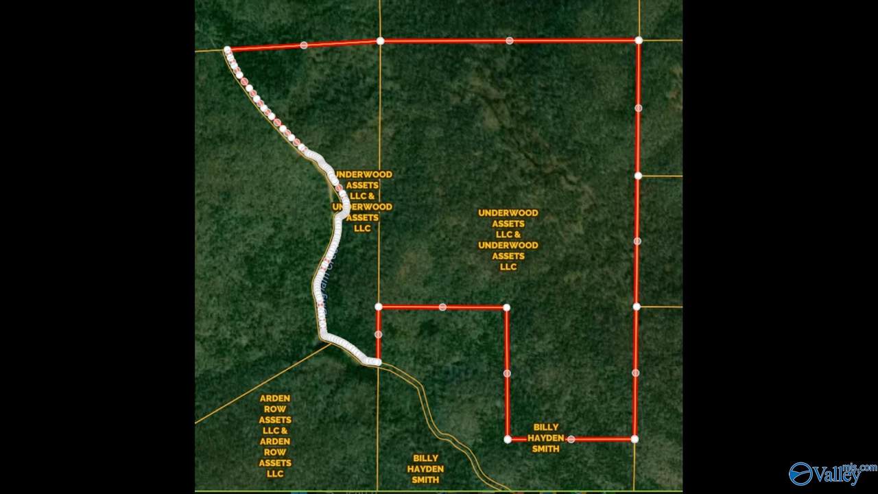 252 Acres County Road 106 - Photo 1