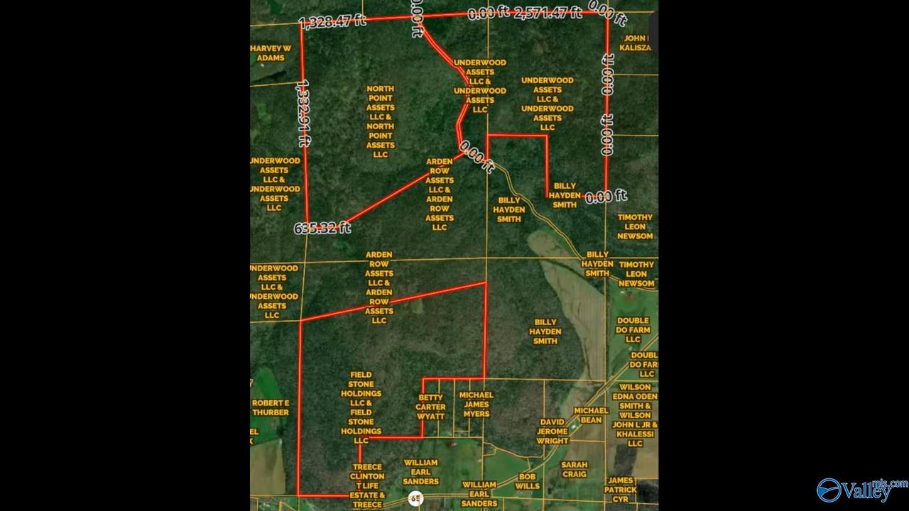 813 Acres Alabama Highway 65 - Photo 1