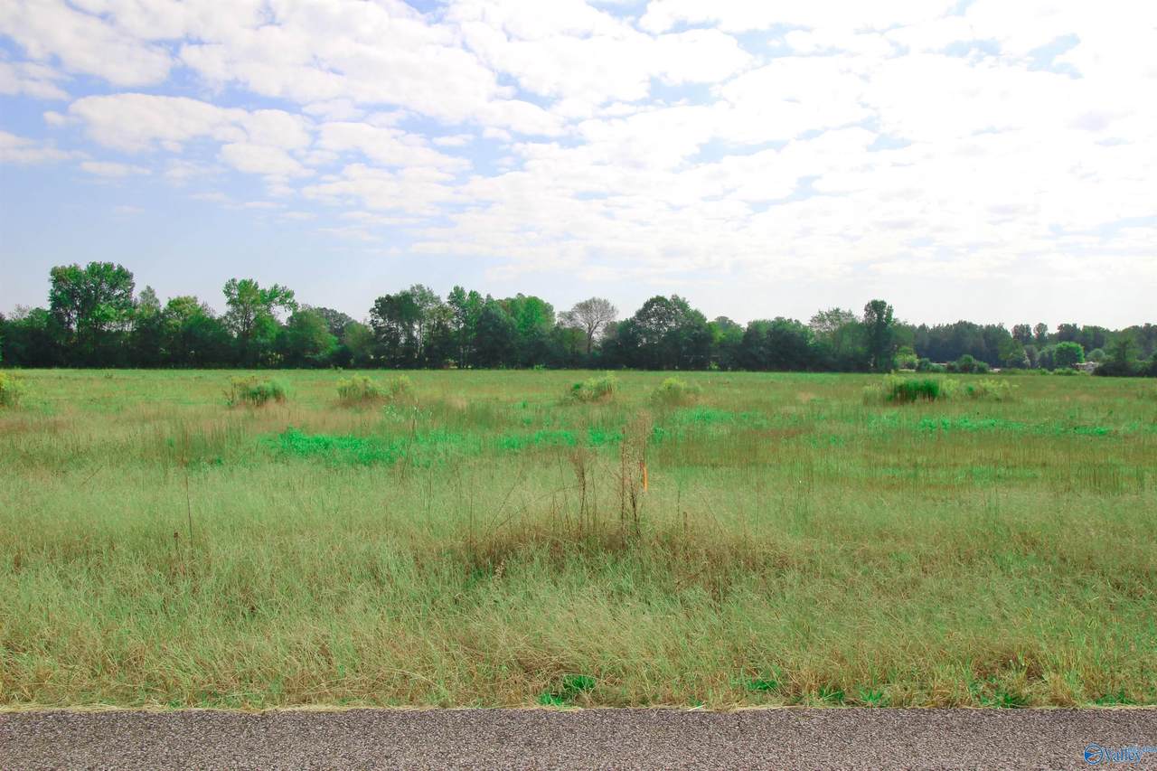 17216 Red Hill Road - Photo 1