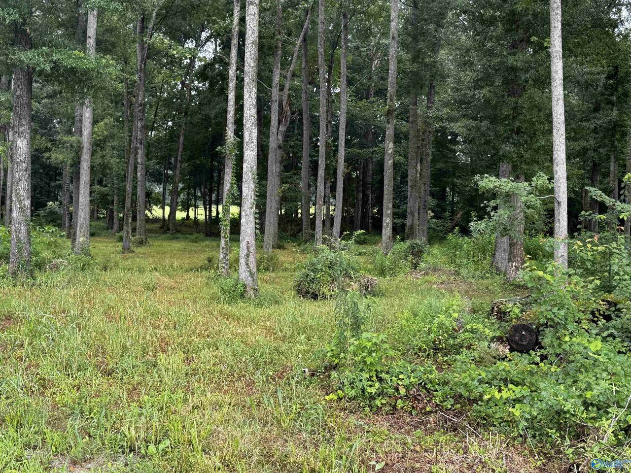 7AC Oakley Chapel Road - Photo 1