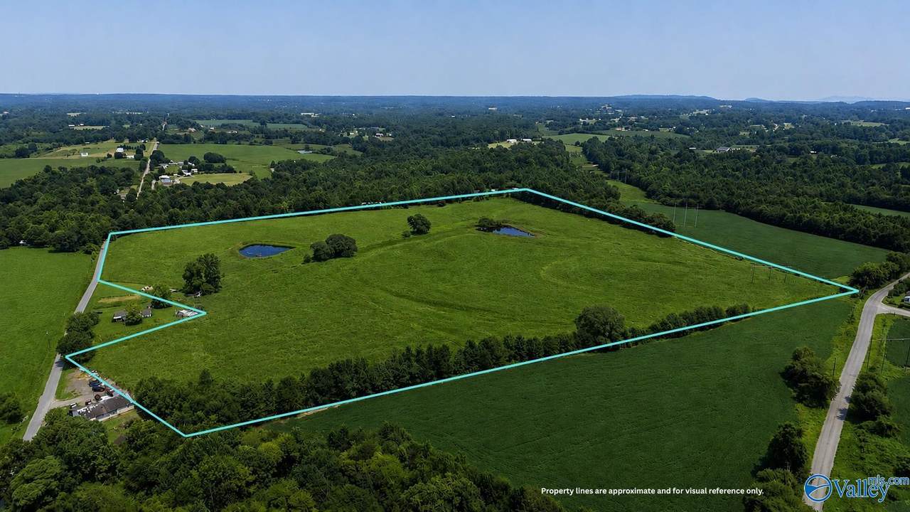 38 Acres Hershell Jones Road - Photo 1