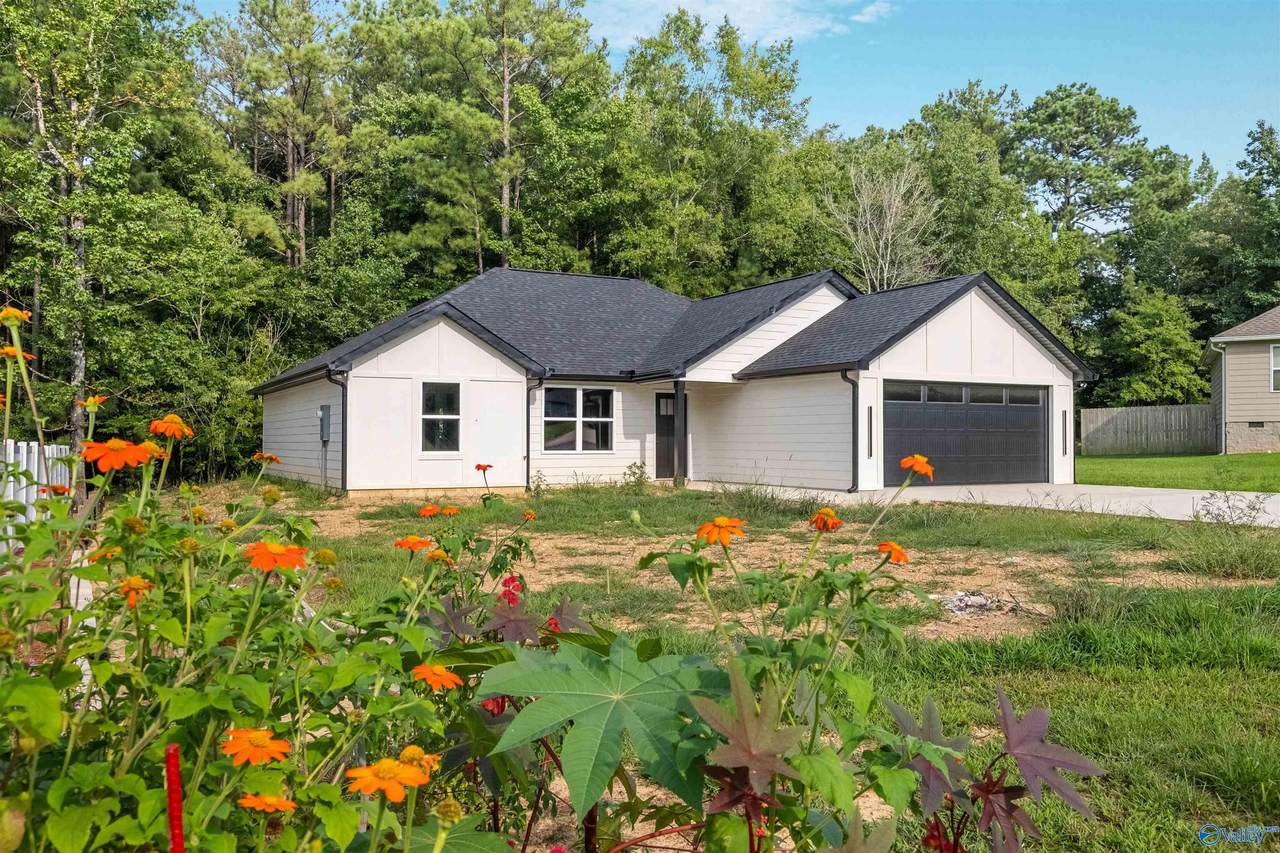 255 Audrey Lane - Photo 1