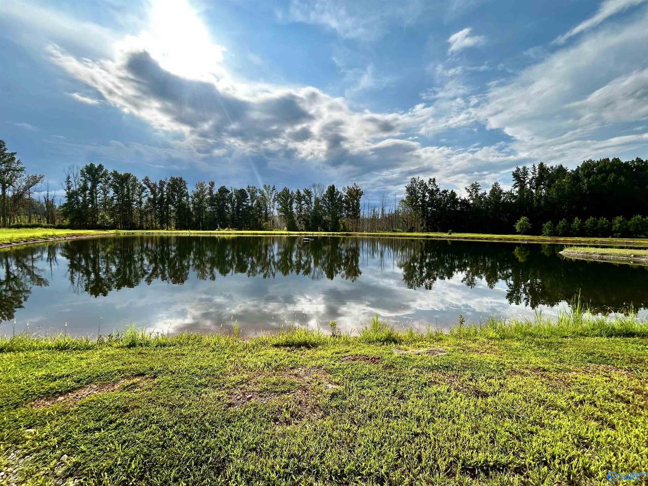 47 Hays Mill Road - Photo 1