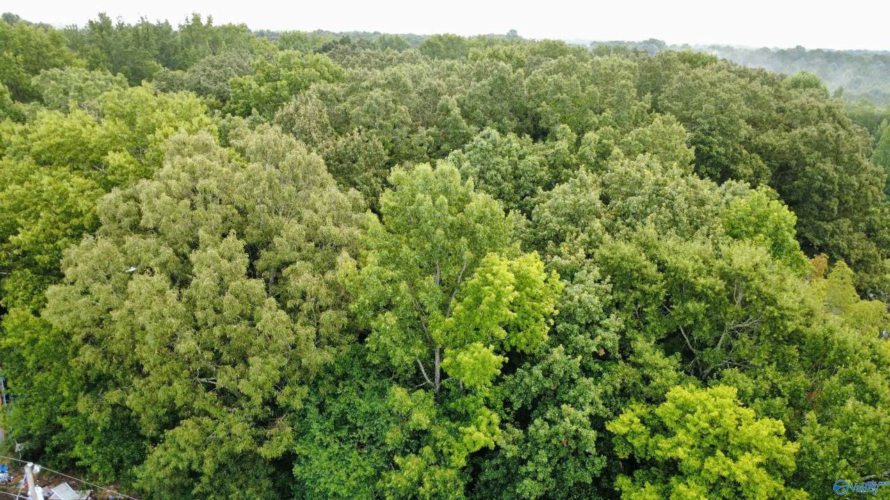 1 acre Honea Road - Photo 1