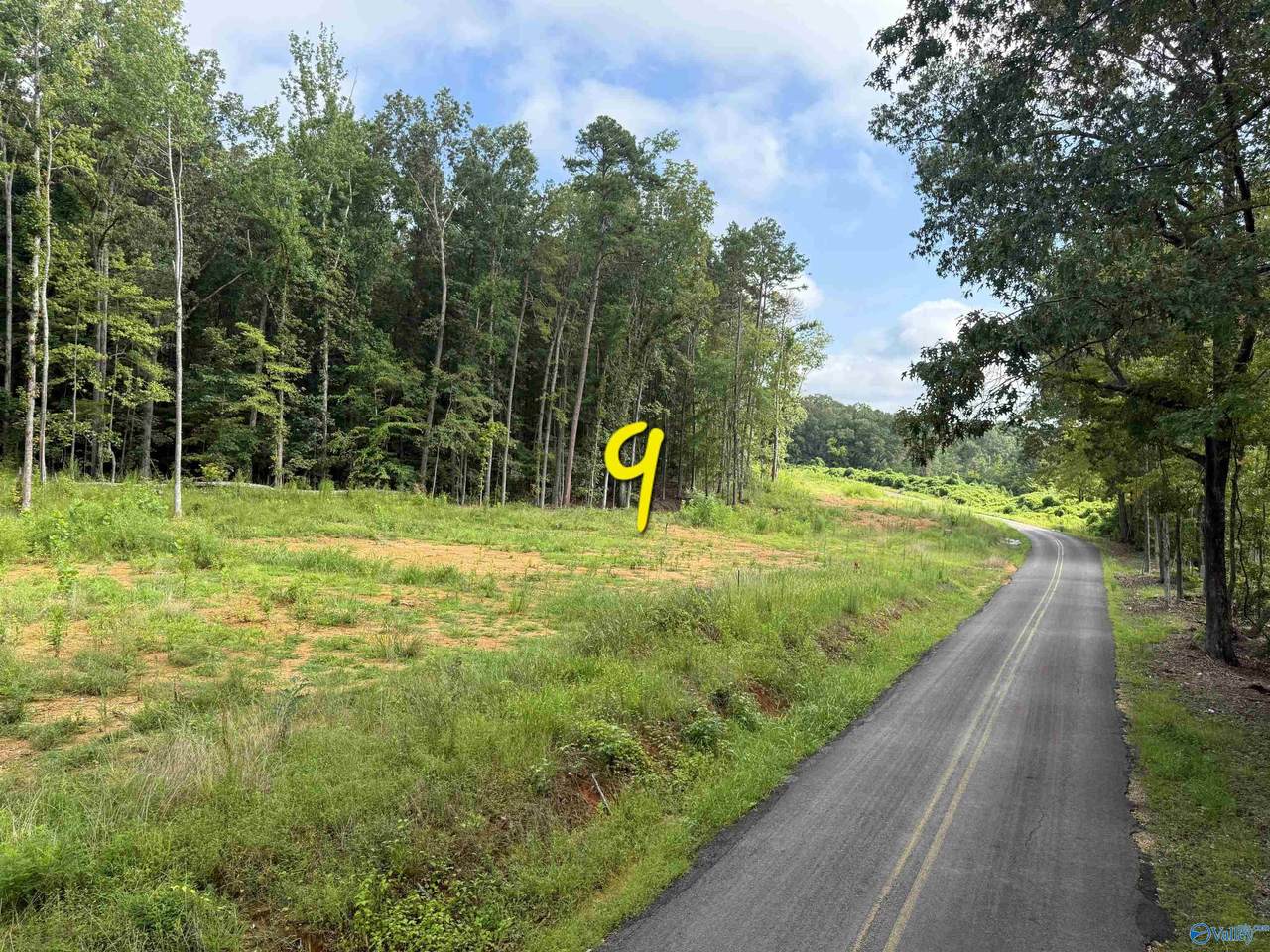 lot 9 County Road 114 - Photo 1