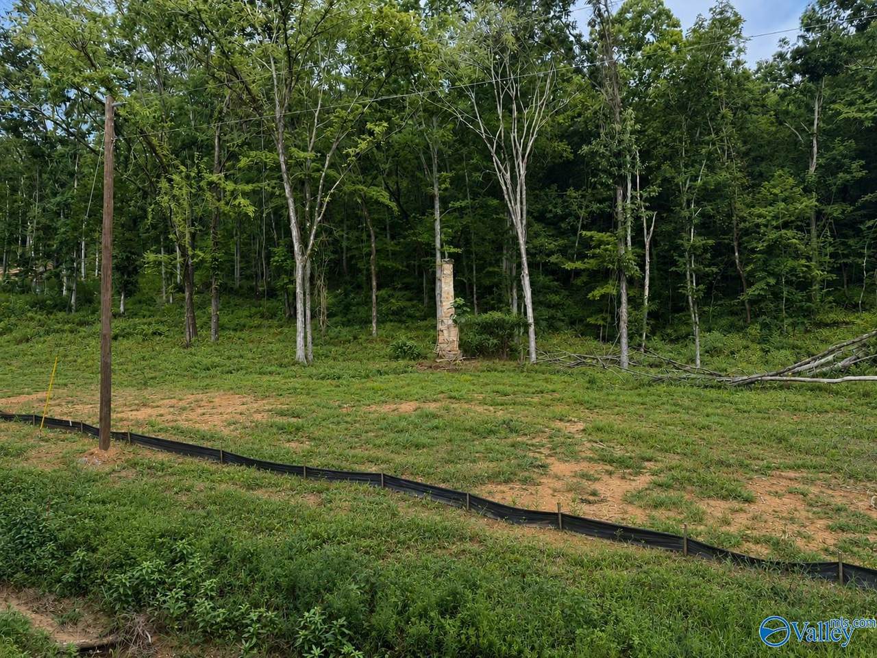Lot 3 County Road 114 - Photo 1