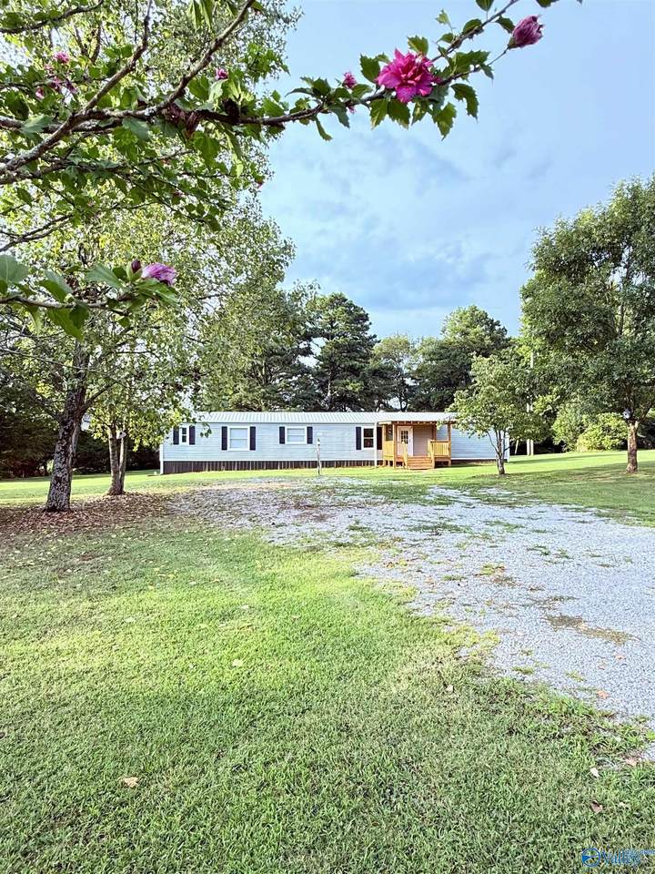 233 Kellys Way Drive - Photo 1