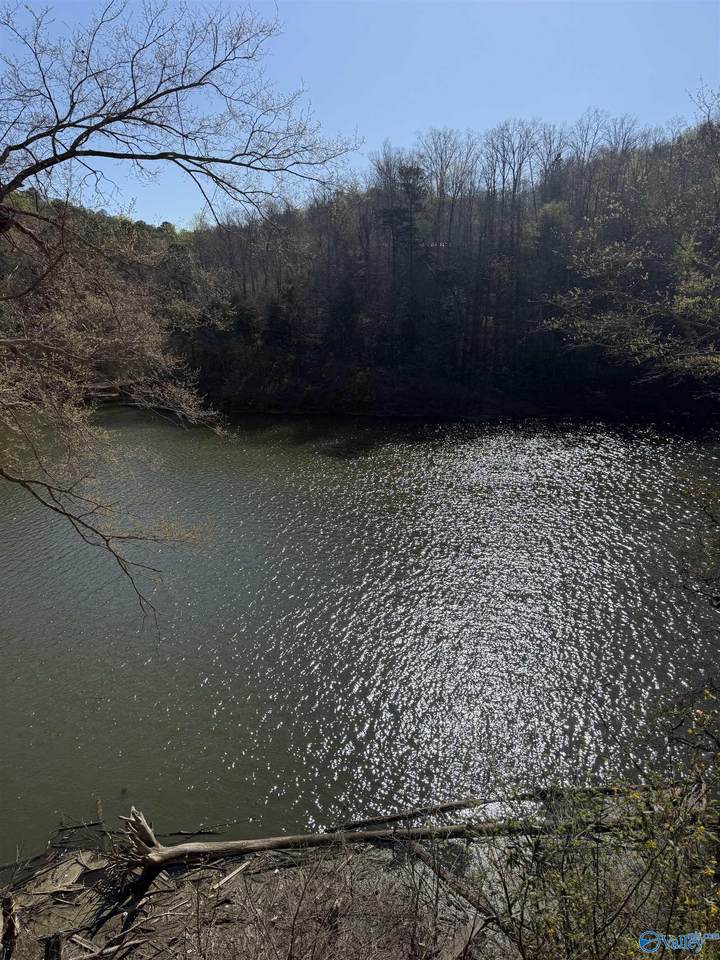 Lot  11 County Road 3782 - Photo 1