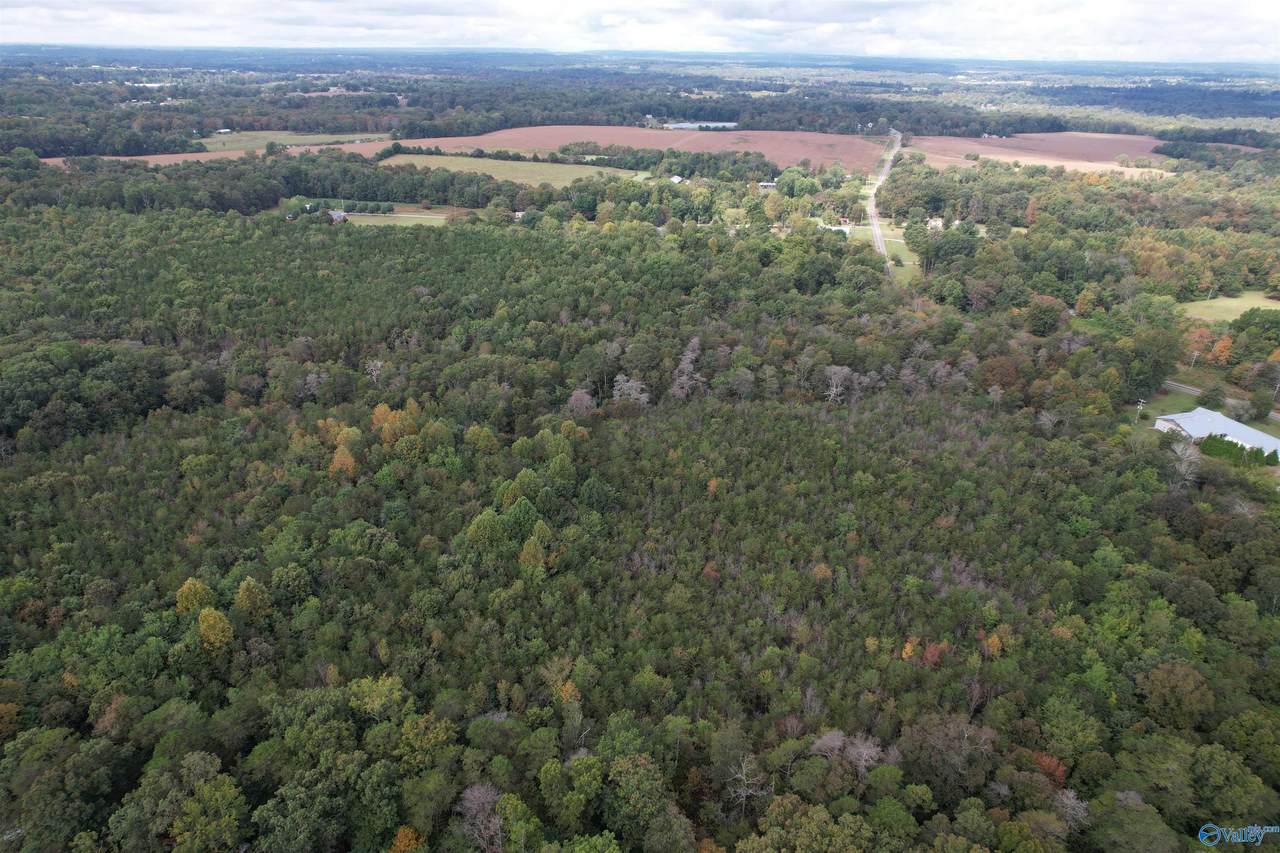 29.57 Ac County Road 155 - Photo 1