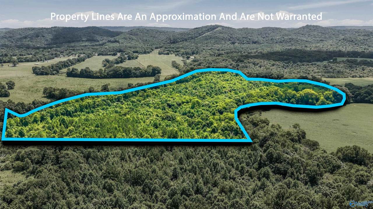 70 acres County Road 283 - Photo 1