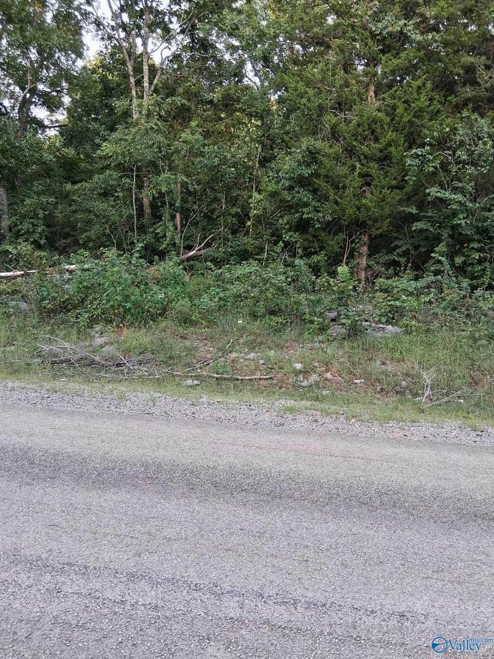 2 acres County Road 84 - Photo 1
