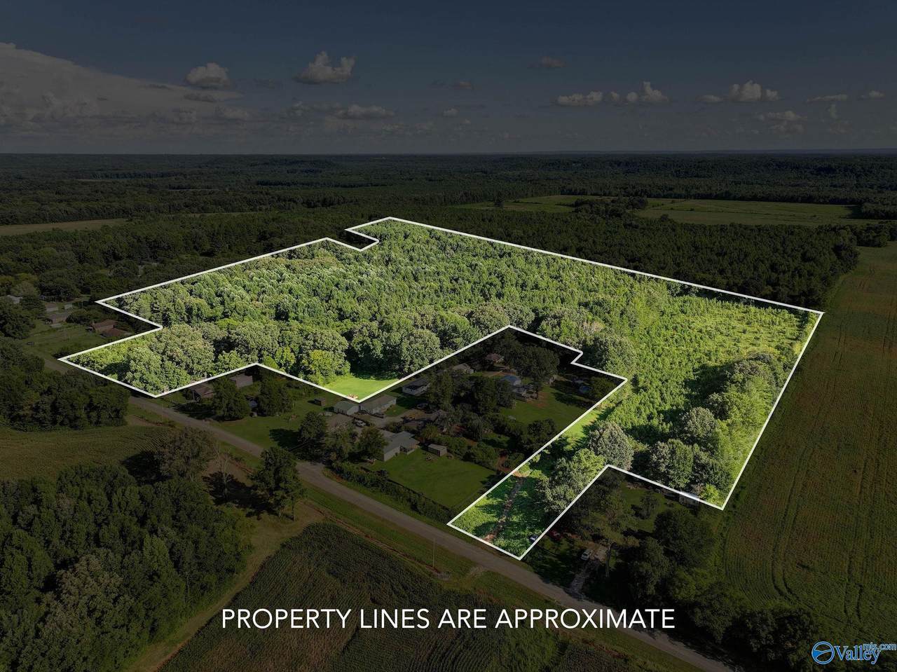 31 ACRES Cottontown Lane - Photo 1