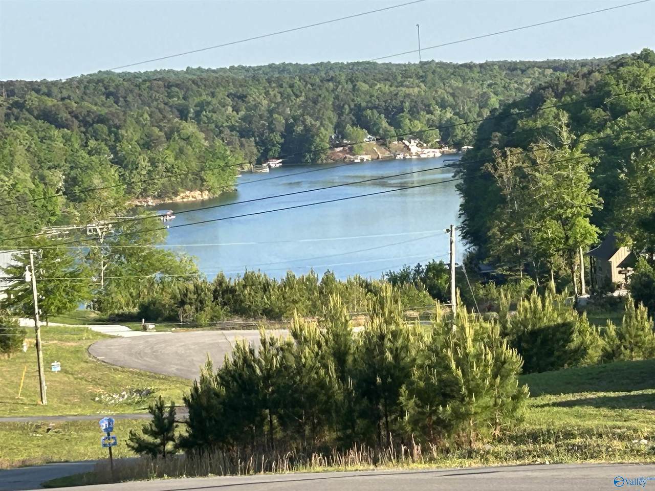 Lot 37 County Road 367 - Photo 1