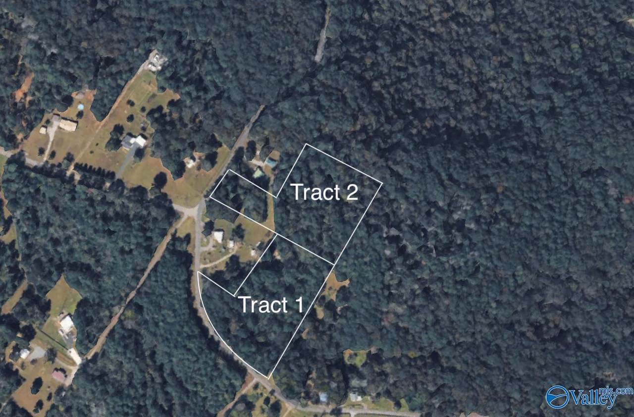Tract 2 Wyeth Mountain Road - Photo 1