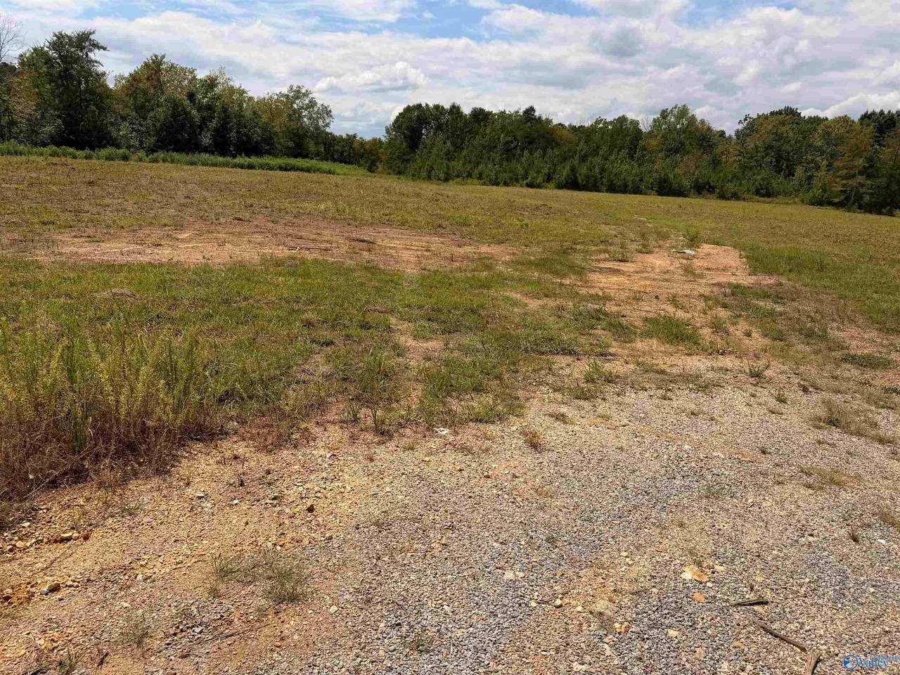 Lot 16 County Road 39 - Photo 1