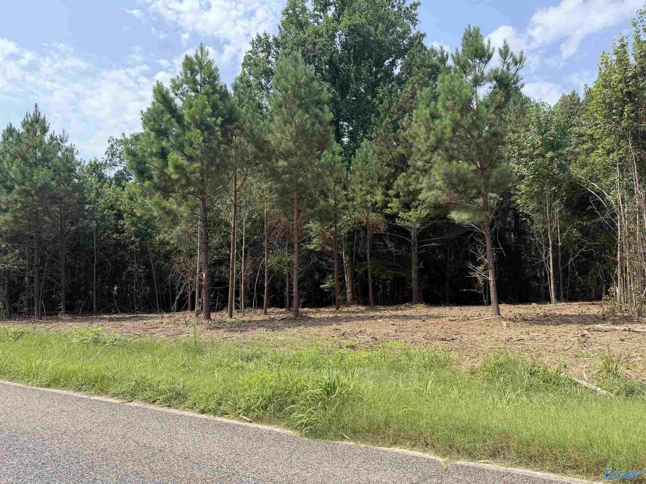 Tract 2 Flanagan Road - Photo 1