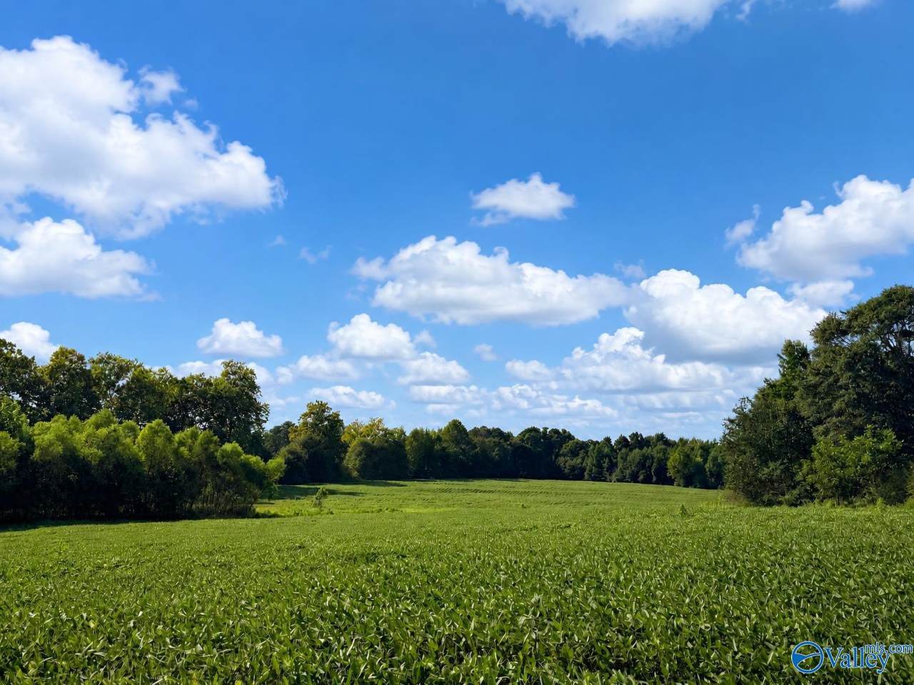 18.6 Acres +/- Highway 431 - Photo 1