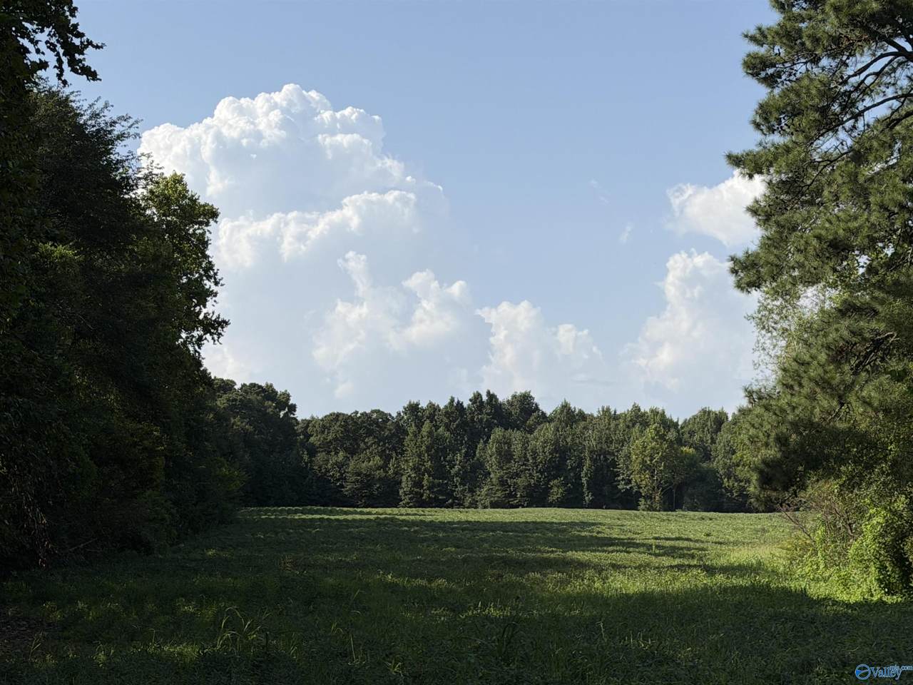 https://bt-photos.global.ssl.fastly.net/nalmls/1280_boomver_1_21926760-2.jpg